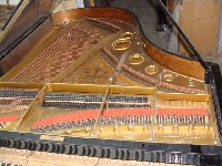 Zdjecie nr 6