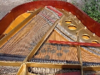 Zdjecie nr 7