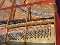 Zdjecie nr 8